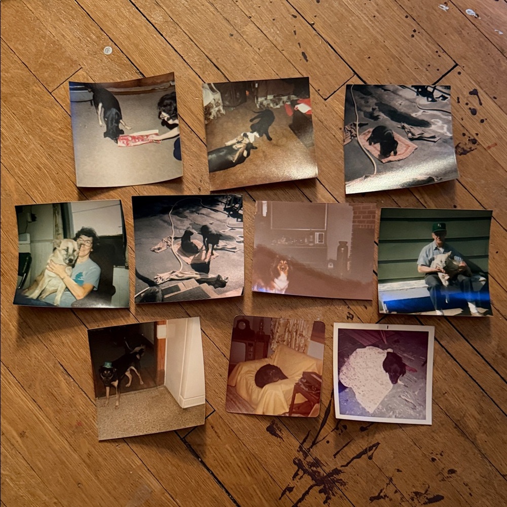 Vintage Dog and Family Photo Collection